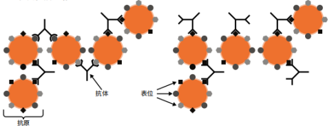 2ad2134d5a715a4fa8918178c1dcdea