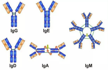 7663c90c3fa95cad6bb2fe8e9977a82