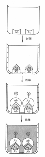 d7a256de8451fbef50c647cde1805b0