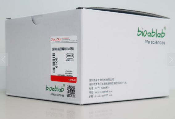 dc5079e189fd3d064b4c1d291e1056a